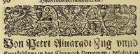 An illustration from Americae das fünffte Buch, (1595)