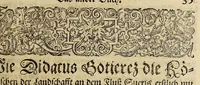 An illustration from Americae das fünffte Buch, (1595)