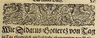 An illustration from Americae das fünffte Buch, (1595)
