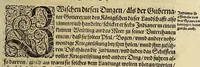 An illustration from Americae das fünffte Buch, (1595)
