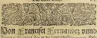An illustration from Americae das fünffte Buch, (1595)