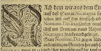 An illustration from Americae das fünffte Buch, (1595)