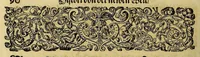 An illustration from Americae das fünffte Buch, (1613)