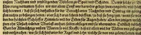 An illustration from Americae das fünffte Buch, (1613)