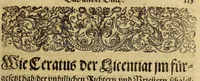 An illustration from Americae das fünffte Buch, (1613)