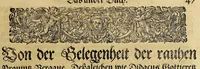 An illustration from Americae das fünffte Buch, (1613)