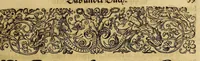 An illustration from Americae das fünffte Buch, (1613)