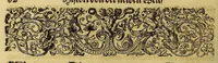 An illustration from Americae das fünffte Buch, (1613)