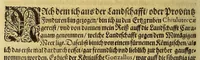 An illustration from Americae das fünffte Buch, (1613)
