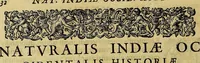 An illustration from Americae nona & postrema pars. : Qua de ratione elementorum: De novi orbis natura: de huius incolarum superstitiosis cultibus: deq[ue] forma politicae ac Republ. ipsorum copiosè pertractatur: catalogo regum Mexicanorum omnium, à primo usq[ue] ad vltimum Motec̦umam II. addito: cui etiam ritus eorum coronationis, ac sepulturae annectitur, cum enumeratione bellorum, quae mutuò Indi gesserunt. His accessit designatio illius navigationis, quam 5. naues Hollandicae anno 1598. per Fretum Magellanum in Moluccanas insulas tentarunt: quomodo nimirum oborta tempestate capitaneus Sebalt de Weert à caeteris nauibus dispulsus, postquam plurimis mensibus in freto infinitis aerumnis miserè iactatus fuisset, tandem infectare post biennium An[no] 1600. domum reuersus sit. Addita est tertio nauigatio recens, quam 4. nauium praefectus Olevier à Noort proximè suscepit: qui Freto Magellanico classe transmisso, triennij spatio vniuersum terrae orbem seu globum mira navigationis forte obiuit: annexis illis, quae in itinere isto singularia ac memorabiliora notata sunt. (1602)