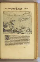 An illustration from Americae nona & postrema pars. : Qua de ratione elementorum: De novi orbis natura: de huius incolarum superstitiosis cultibus: deq[ue] forma politicae ac Republ. ipsorum copiosè pertractatur: catalogo regum Mexicanorum omnium, à primo usq[ue] ad vltimum Motec̦umam II. addito: cui etiam ritus eorum coronationis, ac sepulturae annectitur, cum enumeratione bellorum, quae mutuò Indi gesserunt. His accessit designatio illius navigationis, quam 5. naues Hollandicae anno 1598. per Fretum Magellanum in Moluccanas insulas tentarunt: quomodo nimirum oborta tempestate capitaneus Sebalt de Weert à caeteris nauibus dispulsus, postquam plurimis mensibus in freto infinitis aerumnis miserè iactatus fuisset, tandem infectare post biennium An[no] 1600. domum reuersus sit. Addita est tertio nauigatio recens, quam 4. nauium praefectus Olevier à Noort proximè suscepit: qui Freto Magellanico classe transmisso, triennij spatio vniuersum terrae orbem seu globum mira navigationis forte obiuit: annexis illis, quae in itinere isto singularia ac memorabiliora notata sunt. (1602)