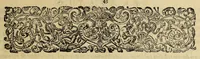 An illustration from Americae pars decima: : quae continentur, I. Duae navigationes Dn. Americi Vesputii, sub auspiciis Castellani regis, Ferdinandi susceptae. II. Solida narratio de moderno provinciae Virginiae statu, qua ratione tandem pax cum Indianis coaluerit, ac castella aliquot ad regionis praesidium ab Anglis extructa fuerint; additâ historiâ lectu jucundissimâ, quomodo Pokahuntas, regis Virginiae Powhatani filia, primori cuidam Anglo nupserit; authore Raphe Hamor Virginiae secretario. III. Vera descriptio Novae Angliae, quae Americae pars ad septentrionalem Indiam spectat, à capitaneo Johanne Schmidt, equite atque admirali delineata: cui accessit discursus, quomodo in secunda navigatione à Gallis captus, anno 1616. demum liberatus fuerit. Omnia nunc primùm in lucem edita, atque eleganter in aes incisis iconibus illustrata, / sumptibus ac studio Johann-Theodori de Bry (1619)