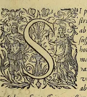 An illustration from Americae pars decima: : quae continentur, I. Duae navigationes Dn. Americi Vesputii, sub auspiciis Castellani regis, Ferdinandi susceptae. II. Solida narratio de moderno provinciae Virginiae statu, qua ratione tandem pax cum Indianis coaluerit, ac castella aliquot ad regionis praesidium ab Anglis extructa fuerint; additâ historiâ lectu jucundissimâ, quomodo Pokahuntas, regis Virginiae Powhatani filia, primori cuidam Anglo nupserit; authore Raphe Hamor Virginiae secretario. III. Vera descriptio Novae Angliae, quae Americae pars ad septentrionalem Indiam spectat, à capitaneo Johanne Schmidt, equite atque admirali delineata: cui accessit discursus, quomodo in secunda navigatione à Gallis captus, anno 1616. demum liberatus fuerit. Omnia nunc primùm in lucem edita, atque eleganter in aes incisis iconibus illustrata, / sumptibus ac studio Johann-Theodori de Bry (1619)