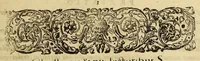 An illustration from Americae pars quarta. Sive, Insignis & admiranda historia de reperta primùm Occidentali India à Christophoro Columbo anno M CCCCXCII (1594)