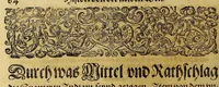 An illustration from Americae pars quinta. (1613)