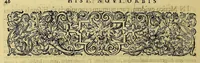 An illustration from Americae pars quinta (1595)