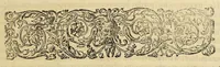 An illustration from Americae pars quinta. (1617)