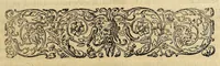 An illustration from Americae pars quinta. (1617)