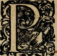 Picture 29 of 80 from Americae pars qvarta, siue, Insignis & admiranda historia de reperta primùm Occidentali India à Christophoro Columbo anno M. CCCCXCII (1594), leaf 117