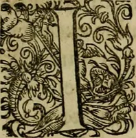 Picture 35 of 80 from Americae pars qvarta, siue, Insignis & admiranda historia de reperta primùm Occidentali India à Christophoro Columbo anno M. CCCCXCII (1594), leaf 150