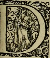 An illustration from Americae pars qvarta, siue, Insignis & admiranda historia de reperta primùm Occidentali India à Christophoro Columbo anno M. CCCCXCII (1594)