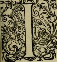 An illustration from Americae pars qvarta, siue, Insignis & admiranda historia de reperta primùm Occidentali India à Christophoro Columbo anno M. CCCCXCII (1594)