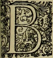 An illustration from Americae pars qvarta, siue, Insignis & admiranda historia de reperta primùm Occidentali India à Christophoro Columbo anno M. CCCCXCII (1594)