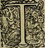 An illustration from Americae pars qvarta, siue, Insignis & admiranda historia de reperta primùm Occidentali India à Christophoro Columbo anno M. CCCCXCII (1594)