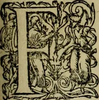 An illustration from Americae pars qvarta, siue, Insignis & admiranda historia de reperta primùm Occidentali India à Christophoro Columbo anno M. CCCCXCII (1594)