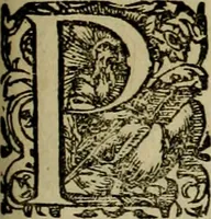 An illustration from Americae pars qvarta, siue, Insignis & admiranda historia de reperta primùm Occidentali India à Christophoro Columbo anno M. CCCCXCII (1594)