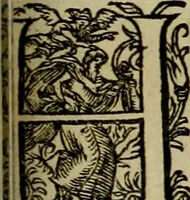 An illustration from Americae pars qvarta, siue, Insignis & admiranda historia de reperta primùm Occidentali India à Christophoro Columbo anno M. CCCCXCII (1594)