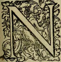 An illustration from Americae pars qvarta, siue, Insignis & admiranda historia de reperta primùm Occidentali India à Christophoro Columbo anno M. CCCCXCII (1594)