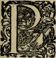 An illustration from Americae pars qvarta, siue, Insignis & admiranda historia de reperta primùm Occidentali India à Christophoro Columbo anno M. CCCCXCII (1594)