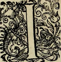 An illustration from Americae pars qvarta, siue, Insignis & admiranda historia de reperta primùm Occidentali India à Christophoro Columbo anno M. CCCCXCII (1594)