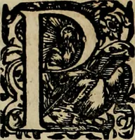 An illustration from Americae pars qvarta, siue, Insignis & admiranda historia de reperta primùm Occidentali India à Christophoro Columbo anno M. CCCCXCII (1594)