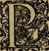 An illustration from Americae pars qvarta, siue, Insignis & admiranda historia de reperta primùm Occidentali India à Christophoro Columbo anno M. CCCCXCII (1594)