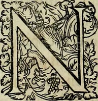 An illustration from Americae pars qvarta, siue, Insignis & admiranda historia de reperta primùm Occidentali India à Christophoro Columbo anno M. CCCCXCII (1594)
