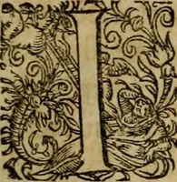An illustration from Americae pars qvarta, siue, Insignis & admiranda historia de reperta primùm Occidentali India à Christophoro Columbo anno M. CCCCXCII (1594)