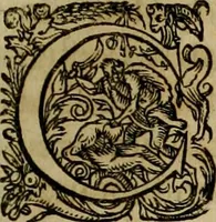 Picture 19 of 80 from Americae pars qvarta, siue, Insignis & admiranda historia de reperta primùm Occidentali India à Christophoro Columbo anno M. CCCCXCII (1594), leaf 50