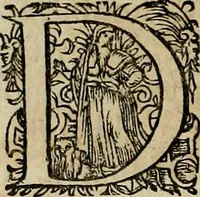 An illustration from Americae pars qvarta, siue, Insignis & admiranda historia de reperta primùm Occidentali India à Christophoro Columbo anno M. CCCCXCII (1594)