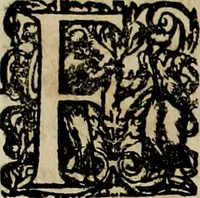 An illustration from Americae pars qvarta, siue, Insignis & admiranda historia de reperta primùm Occidentali India à Christophoro Columbo anno M. CCCCXCII (1594)
