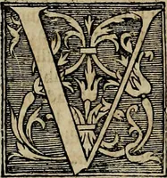 Picture 18 of 67 from Americae pars qvinta Nobilis & admiratione plena Hieronymi Bezoni Mediolanensis, secundae sectionis hiã. Hispanorum : tùm in Nigrittas seruos suos, tùm in Indos crudelitatem, Gallorumq pirataru de Hispanis toties reportata spolia : aduentu item Hispanoru in Nouam Indiæ continentis Hispaniam, eorumq contra incolas eius regionis sæuitiam explicans addita ad singula fere capita scholia, in quibus res Indiæ luculenter exponuntur : accessit præterea tabula chorographica nouæ Hispaniæ in India Occidentalj : ad invictis Rvdolph II ... omnia elegantibus figuris in aes incisis expressa (1595), leaf 27