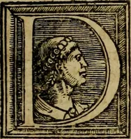 Picture 21 of 67 from Americae pars qvinta Nobilis & admiratione plena Hieronymi Bezoni Mediolanensis, secundae sectionis hiã. Hispanorum : tùm in Nigrittas seruos suos, tùm in Indos crudelitatem, Gallorumq pirataru de Hispanis toties reportata spolia : aduentu item Hispanoru in Nouam Indiæ continentis Hispaniam, eorumq contra incolas eius regionis sæuitiam explicans addita ad singula fere capita scholia, in quibus res Indiæ luculenter exponuntur : accessit præterea tabula chorographica nouæ Hispaniæ in India Occidentalj : ad invictis Rvdolph II ... omnia elegantibus figuris in aes incisis expressa (1595), leaf 32