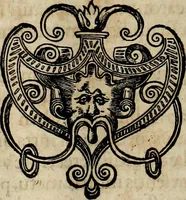 Picture 27 of 67 from Americae pars qvinta Nobilis & admiratione plena Hieronymi Bezoni Mediolanensis, secundae sectionis hiã. Hispanorum : tùm in Nigrittas seruos suos, tùm in Indos crudelitatem, Gallorumq pirataru de Hispanis toties reportata spolia : aduentu item Hispanoru in Nouam Indiæ continentis Hispaniam, eorumq contra incolas eius regionis sæuitiam explicans addita ad singula fere capita scholia, in quibus res Indiæ luculenter exponuntur : accessit præterea tabula chorographica nouæ Hispaniæ in India Occidentalj : ad invictis Rvdolph II ... omnia elegantibus figuris in aes incisis expressa (1595), leaf 43