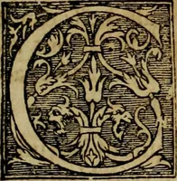 Picture 32 of 67 from Americae pars qvinta Nobilis & admiratione plena Hieronymi Bezoni Mediolanensis, secundae sectionis hiã. Hispanorum : tùm in Nigrittas seruos suos, tùm in Indos crudelitatem, Gallorumq pirataru de Hispanis toties reportata spolia : aduentu item Hispanoru in Nouam Indiæ continentis Hispaniam, eorumq contra incolas eius regionis sæuitiam explicans addita ad singula fere capita scholia, in quibus res Indiæ luculenter exponuntur : accessit præterea tabula chorographica nouæ Hispaniæ in India Occidentalj : ad invictis Rvdolph II ... omnia elegantibus figuris in aes incisis expressa (1595), leaf 54