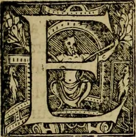 Picture 7 of 67 from Americae pars qvinta Nobilis & admiratione plena Hieronymi Bezoni Mediolanensis, secundae sectionis hiã. Hispanorum : tùm in Nigrittas seruos suos, tùm in Indos crudelitatem, Gallorumq pirataru de Hispanis toties reportata spolia : aduentu item Hispanoru in Nouam Indiæ continentis Hispaniam, eorumq contra incolas eius regionis sæuitiam explicans addita ad singula fere capita scholia, in quibus res Indiæ luculenter exponuntur : accessit præterea tabula chorographica nouæ Hispaniæ in India Occidentalj : ad invictis Rvdolph II ... omnia elegantibus figuris in aes incisis expressa (1595), leaf 8