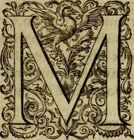 An illustration from Americae pars sexta, siue, Historiæ ab Hieronymo Bezono Mediolanese scriptæ, sectio tertia : res nõ minus nobiles & admiratione plenas continens, quàm præcedentes duæ : in hac enim reperies, qua ratione Hispani opuletissimas illas Peruäni regni prouincias occuparint, capto Rege Atabaliba : deide orta inter ipsos Hispanos in eo regno ciuilia bella : additus est breuis de fortunatis insulis cõmentariolus in duo capita distinctus : item additiones ad singula capita historiam illustrantes : accesit Perväni regni chorographica tabula ... : omnia elegantibus figuris in æs incisis expressa ; (1596)