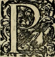 An illustration from Americae pars sexta, siue, Historiæ ab Hieronymo Bezono Mediolanese scriptæ, sectio tertia : res nõ minus nobiles & admiratione plenas continens, quàm præcedentes duæ : in hac enim reperies, qua ratione Hispani opuletissimas illas Peruäni regni prouincias occuparint, capto Rege Atabaliba : deide orta inter ipsos Hispanos in eo regno ciuilia bella : additus est breuis de fortunatis insulis cõmentariolus in duo capita distinctus : item additiones ad singula capita historiam illustrantes : accesit Perväni regni chorographica tabula ... : omnia elegantibus figuris in æs incisis expressa ; (1596)