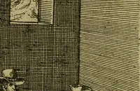 An illustration from Americae pars sexta, siue, Historiæ ab Hieronymo Bezono Mediolanese scriptæ, sectio tertia : res nõ minus nobiles & admiratione plenas continens, quàm præcedentes duæ : in hac enim reperies, qua ratione Hispani opuletissimas illas Peruäni regni prouincias occuparint, capto Rege Atabaliba : deide orta inter ipsos Hispanos in eo regno ciuilia bella : additus est breuis de fortunatis insulis cõmentariolus in duo capita distinctus : item additiones ad singula capita historiam illustrantes : accesit Perväni regni chorographica tabula ... : omnia elegantibus figuris in æs incisis expressa ; (1596)