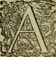 An illustration from Americae pars sexta, siue, Historiæ ab Hieronymo Bezono Mediolanese scriptæ, sectio tertia : res nõ minus nobiles & admiratione plenas continens, quàm præcedentes duæ : in hac enim reperies, qua ratione Hispani opuletissimas illas Peruäni regni prouincias occuparint, capto Rege Atabaliba : deide orta inter ipsos Hispanos in eo regno ciuilia bella : additus est breuis de fortunatis insulis cõmentariolus in duo capita distinctus : item additiones ad singula capita historiam illustrantes : accesit Perväni regni chorographica tabula ... : omnia elegantibus figuris in æs incisis expressa ; (1596)